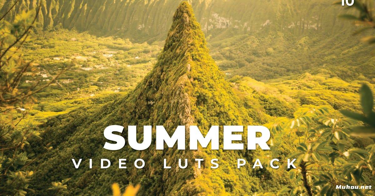 Luts视频预设-夏季旅行记录vlog调色滤镜LUTs第10卷Summer Pack Video LUTs Vol.10插图