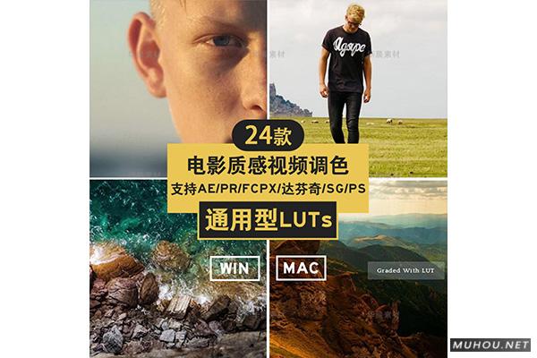 Luts调色预设：视频调色（LR-PR-AE-PS-FCPX-达芬奇）