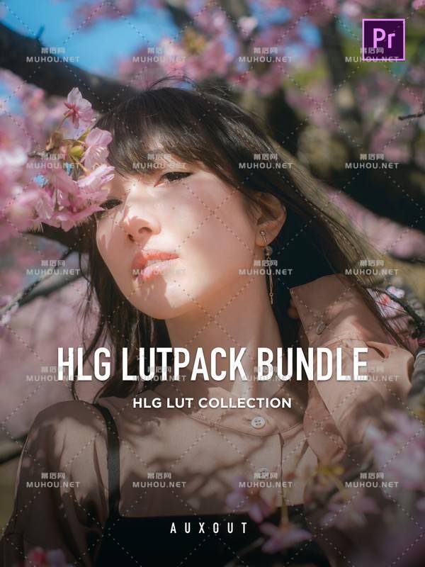7套Auxout油管大神S-LOG Hlg2 709模式LUTs合集索尼旅拍调色预设下载插图11
