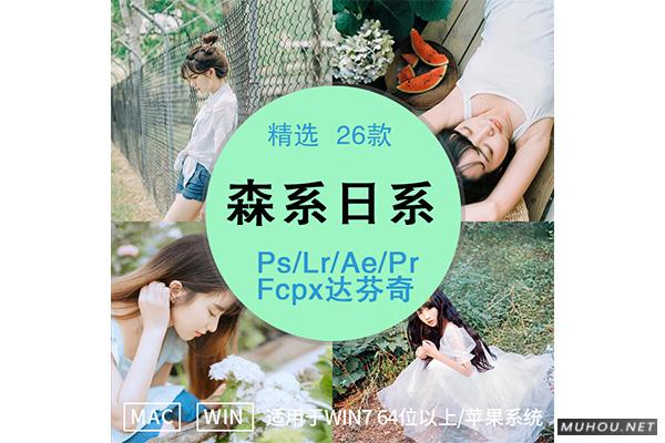Luts调色预设：视频调色（LR-PR-AE-PS-FCPX-达芬奇）