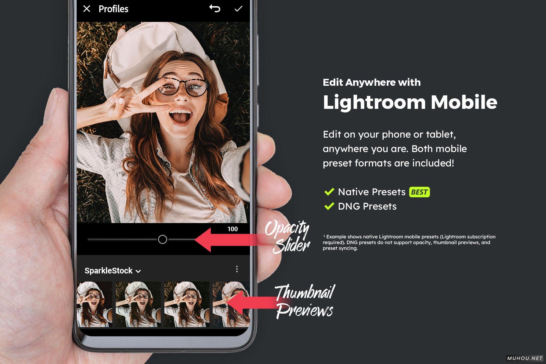 Luts调色预设-20套莫吉托色调花园清新调色滤镜20 Mint Lightroom Presets and LUTs插图12