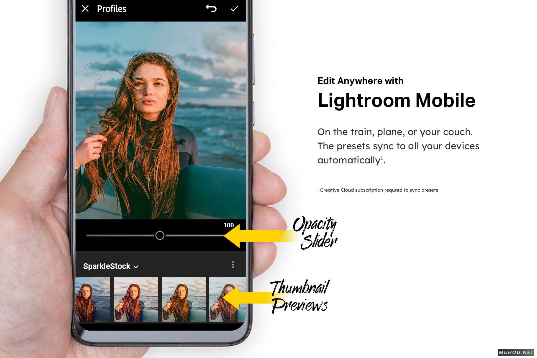 Luts调色预设-50组专业户外摄影自然调色滤镜50 Moody Lightroom Presets and LUTs插图13