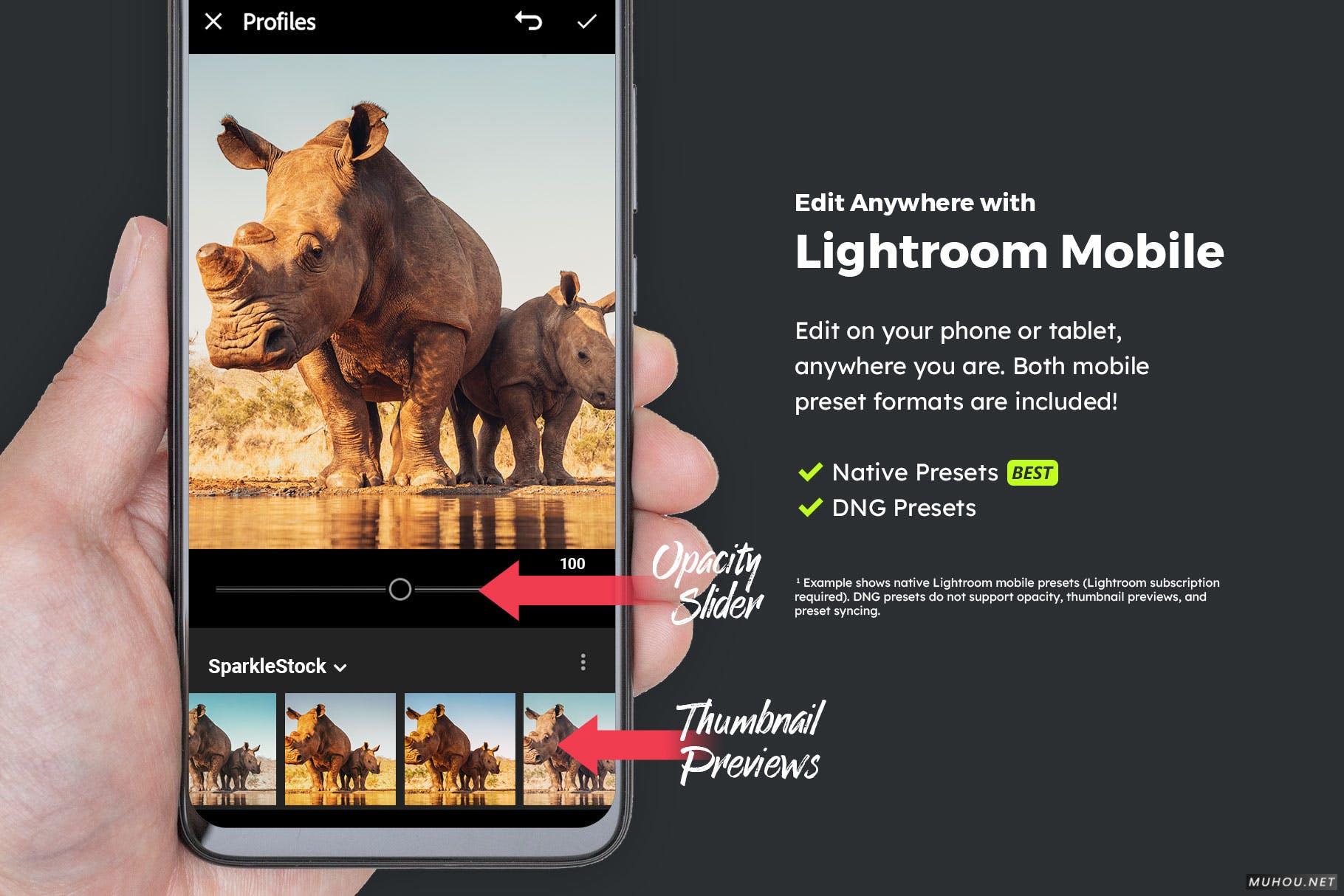 Luts调色预设-20套自然界野生动物视频照片调色效果20 Wildlife Lightroom Presets and LUTs插图12