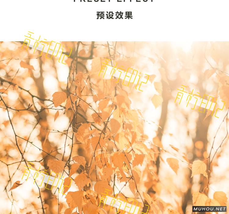 Luts调色预设：视频调色（LR-PR-AE-PS-FCPX-达芬奇）