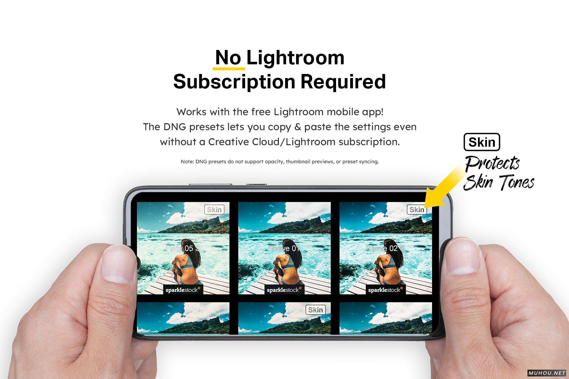 Luts调色预设-20种热带Lightroom预设和LUT滤镜下载20 Tropical Lightroom Presets and LUTs插图14