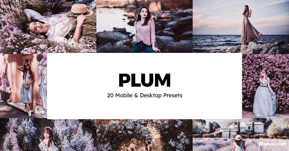 Luts调色预设-20个梅花薰衣草紫罗兰色调调色视频滤镜Plum Lightroom Presets & LUTs插图