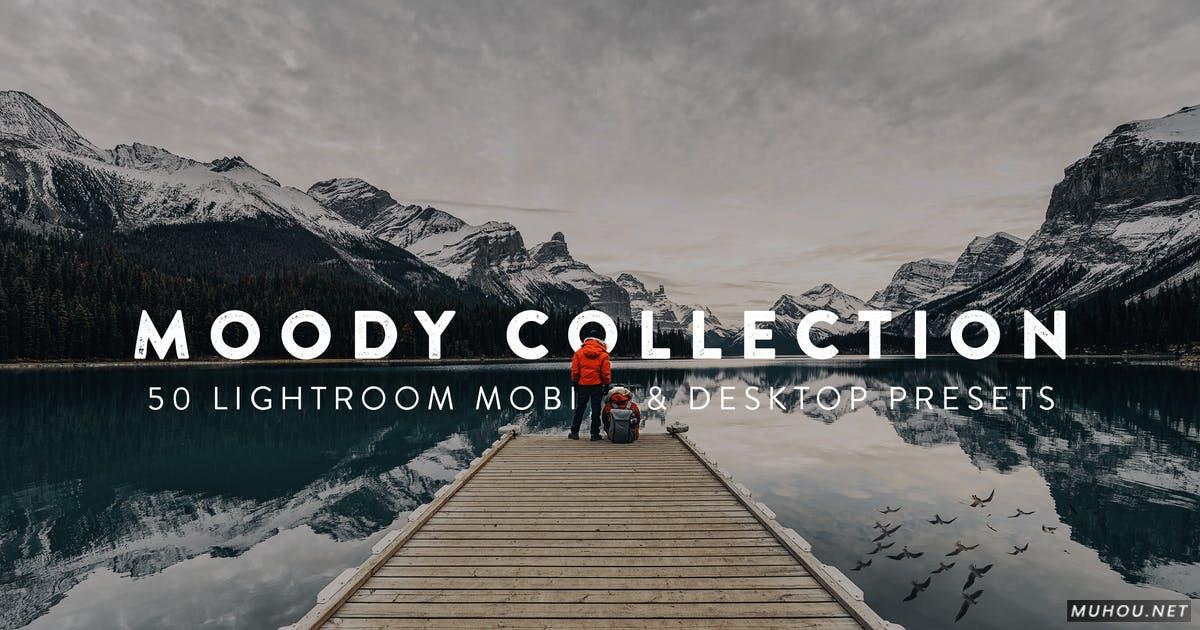 Luts调色预设-50组专业户外摄影自然调色滤镜50 Moody Lightroom Presets and LUTs插图