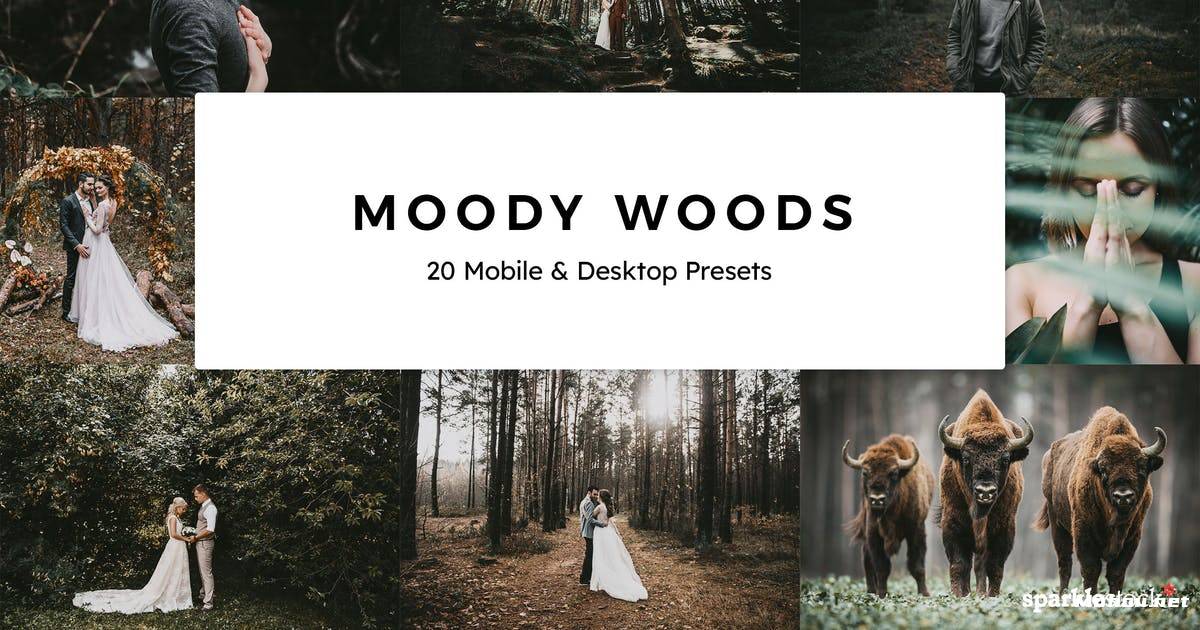 Luts调色预设-20组自然古朴原始森林色调滤镜Moody Woods Lightroom Presets & LUTs插图