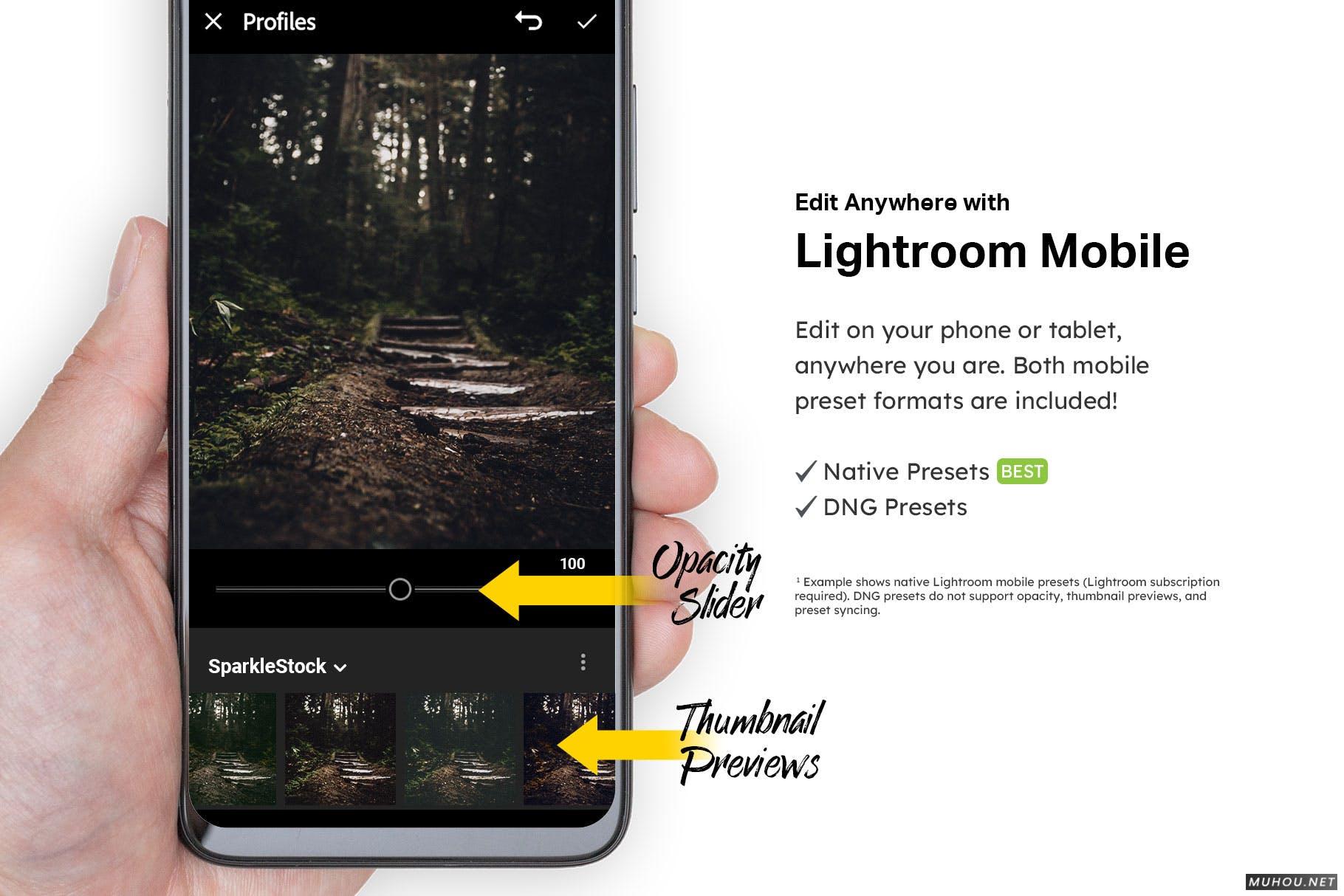 Luts调色预设-20套绿色森系自然森林照片视频调色滤镜20 Moody Forest Lightroom Presets and LUTs插图13