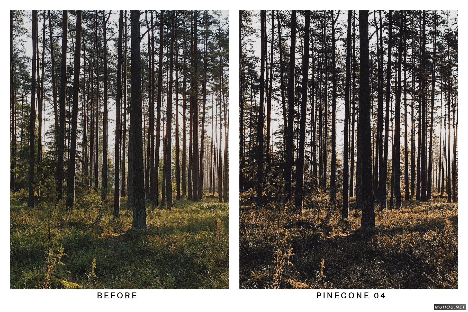 Luts调色预设-20套绿色森系自然森林照片视频调色滤镜20 Moody Forest Lightroom Presets and LUTs插图12