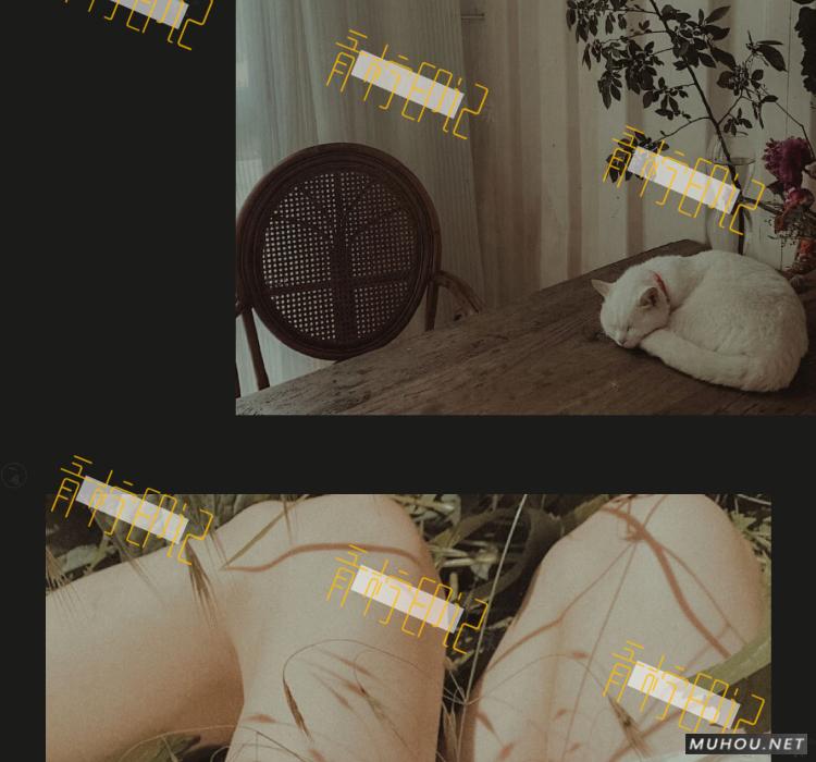 Luts调色预设：8组法式怀旧胶片效果人像视频调色滤镜下载（LR-PR-AE-PS-FCPX-达芬奇）