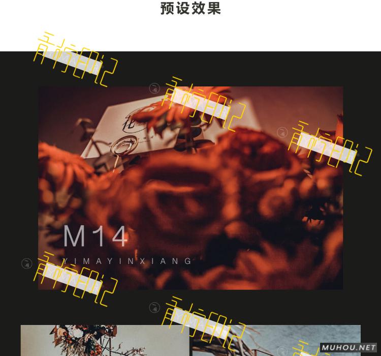 Luts调色预设：视频调色（LR-PR-AE-PS-FCPX-达芬奇）