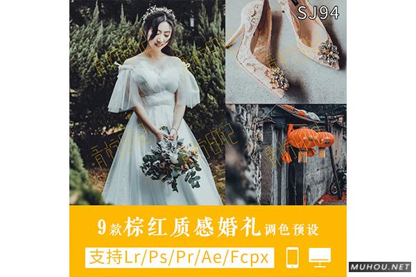 Luts调色预设：视频调色（LR-PR-AE-PS-FCPX-达芬奇）