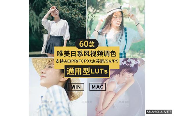 Luts调色预设：视频调色（LR-PR-AE-PS-FCPX-达芬奇）