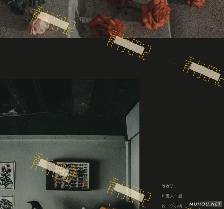 Luts调色预设：8组法式怀旧胶片效果人像视频调色滤镜下载（LR-PR-AE-PS-FCPX-达芬奇）