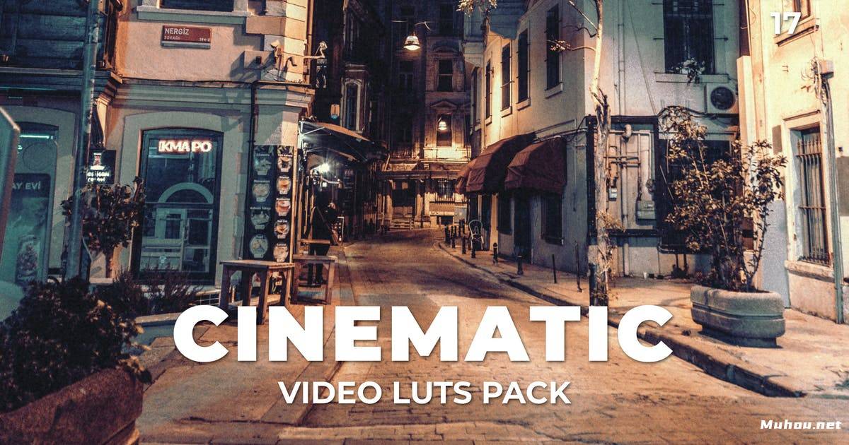 Luts视频预设-电影质感夜景调色滤镜下载Cinematic Pack Video LUTs Vol.17插图