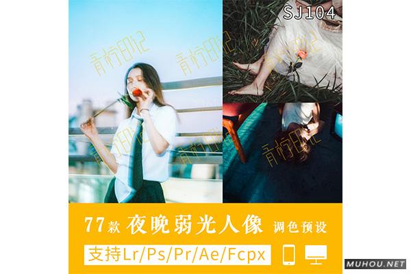Luts调色预设：视频调色（LR-PR-AE-PS-FCPX-达芬奇）