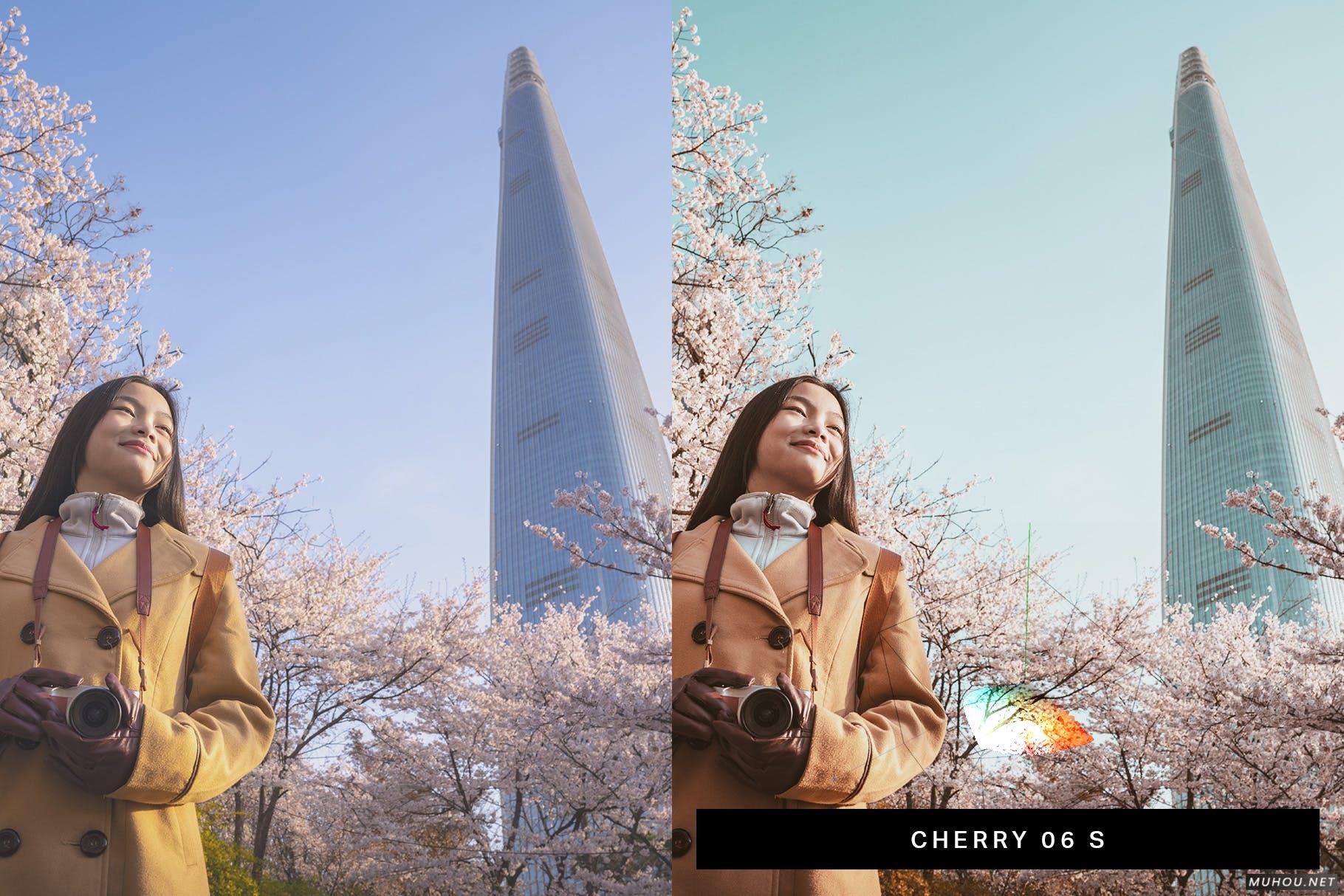 Luts调色预设-50组浪漫日本武汉樱花照片视频调色色调 50 Sakura Pink Lightroom Presets and LUTs插图9