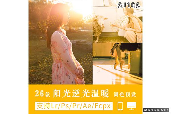 Luts调色预设：视频调色（LR-PR-AE-PS-FCPX-达芬奇）