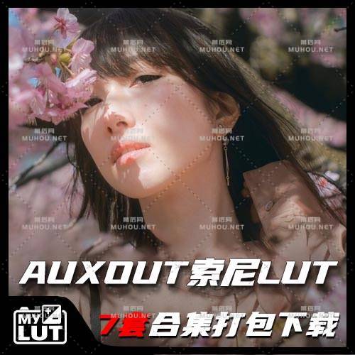 7套Auxout油管大神S-LOG Hlg2 709模式LUTs合集索尼旅拍调色预设下载插图