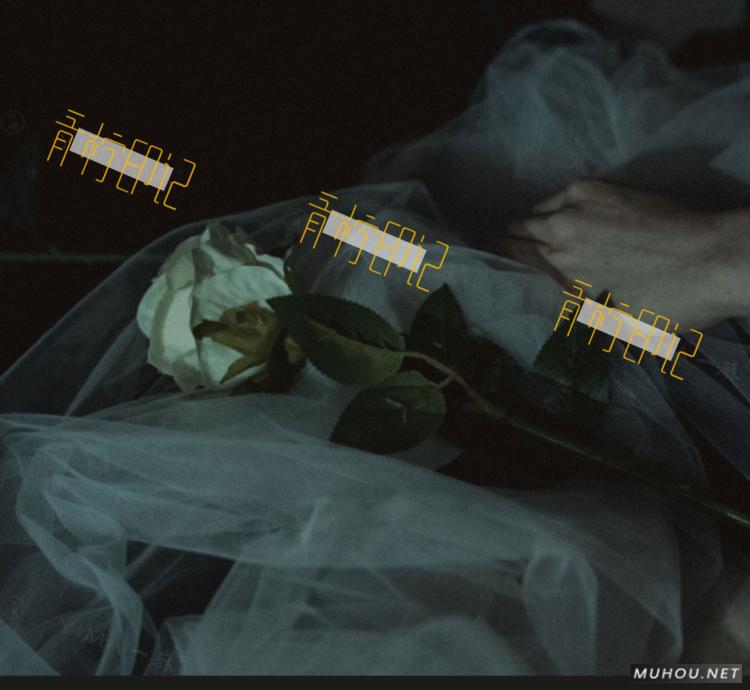 Luts调色预设：8组法式怀旧胶片效果人像视频调色滤镜下载（LR-PR-AE-PS-FCPX-达芬奇）