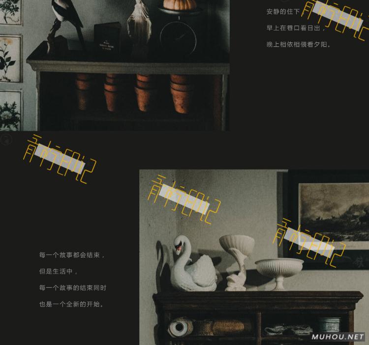 Luts调色预设：8组法式怀旧胶片效果人像视频调色滤镜下载（LR-PR-AE-PS-FCPX-达芬奇）