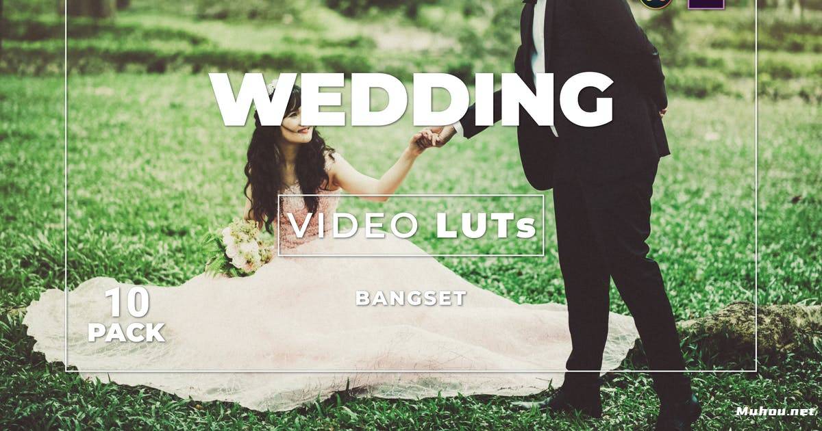 Luts视频预设-婚礼怀旧色系10组调色滤镜Bangset Wedding Pack 10 Video LUTs插图