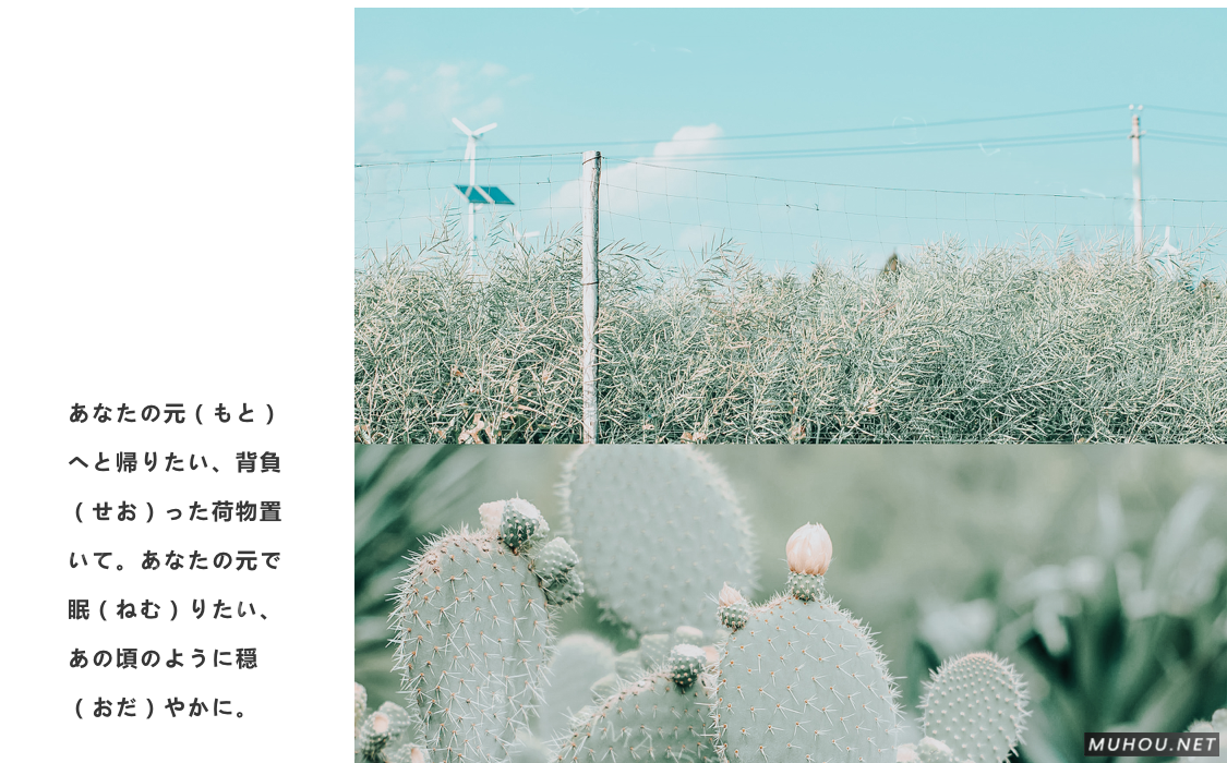 Luts调色预设：视频调色（LR-PR-AE-PS-FCPX-达芬奇）