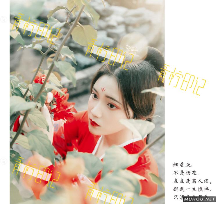 Luts调色预设：视频调色（LR-PR-AE-PS-FCPX-达芬奇）