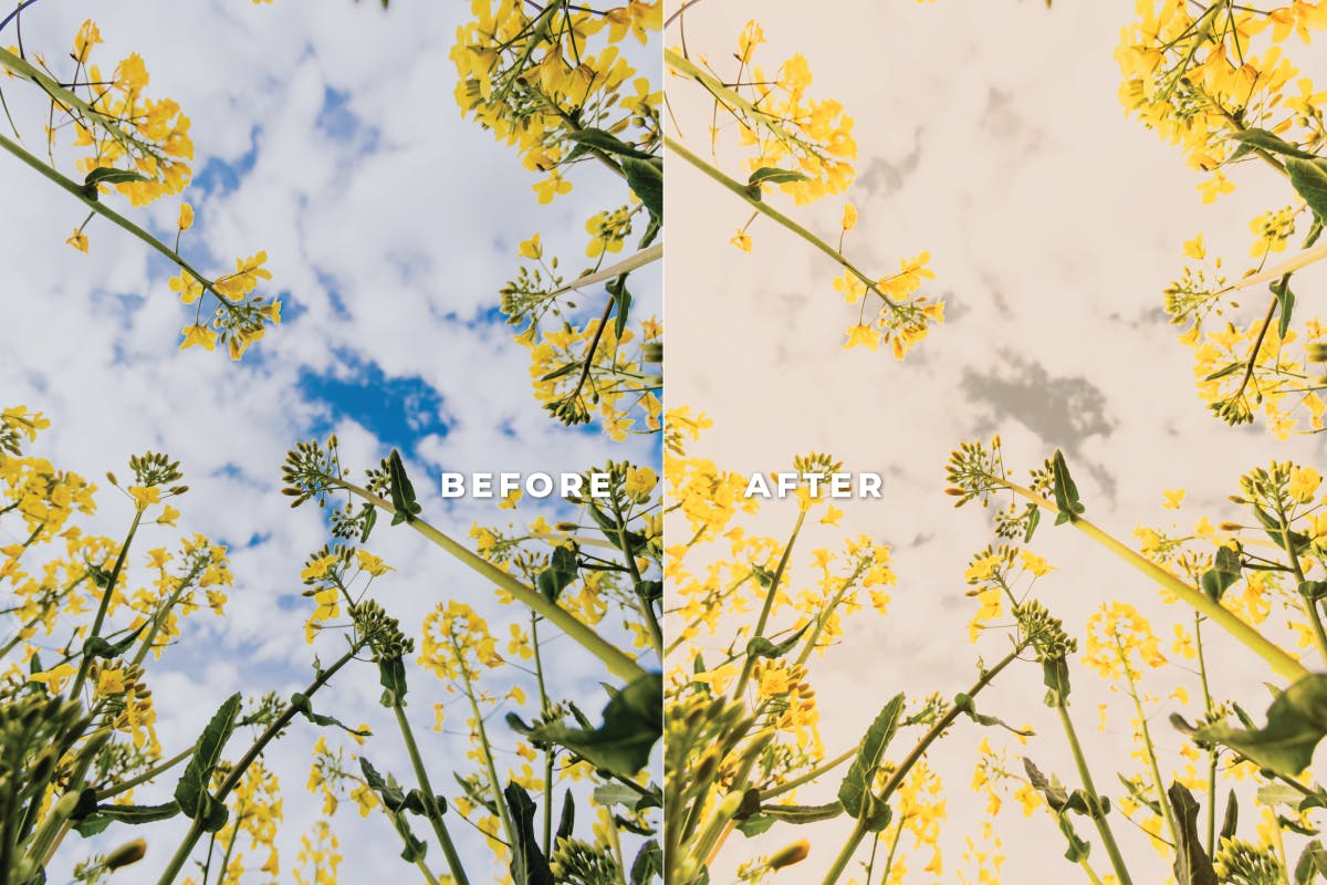 Luts视频预设-夏季阳光黄色调调色滤镜LUTs第11卷Summer Pack Video LUTs Vol.11插图8