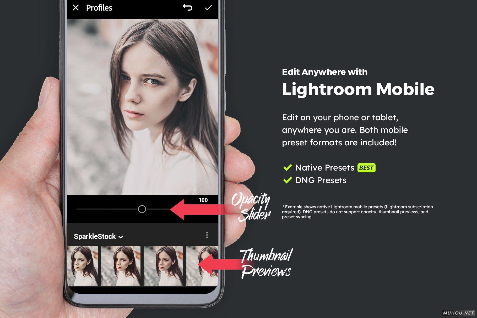 Luts调色预设-20套褪色照片时尚照片调色滤镜20 Classic Lightroom Presets and LUTs插图12