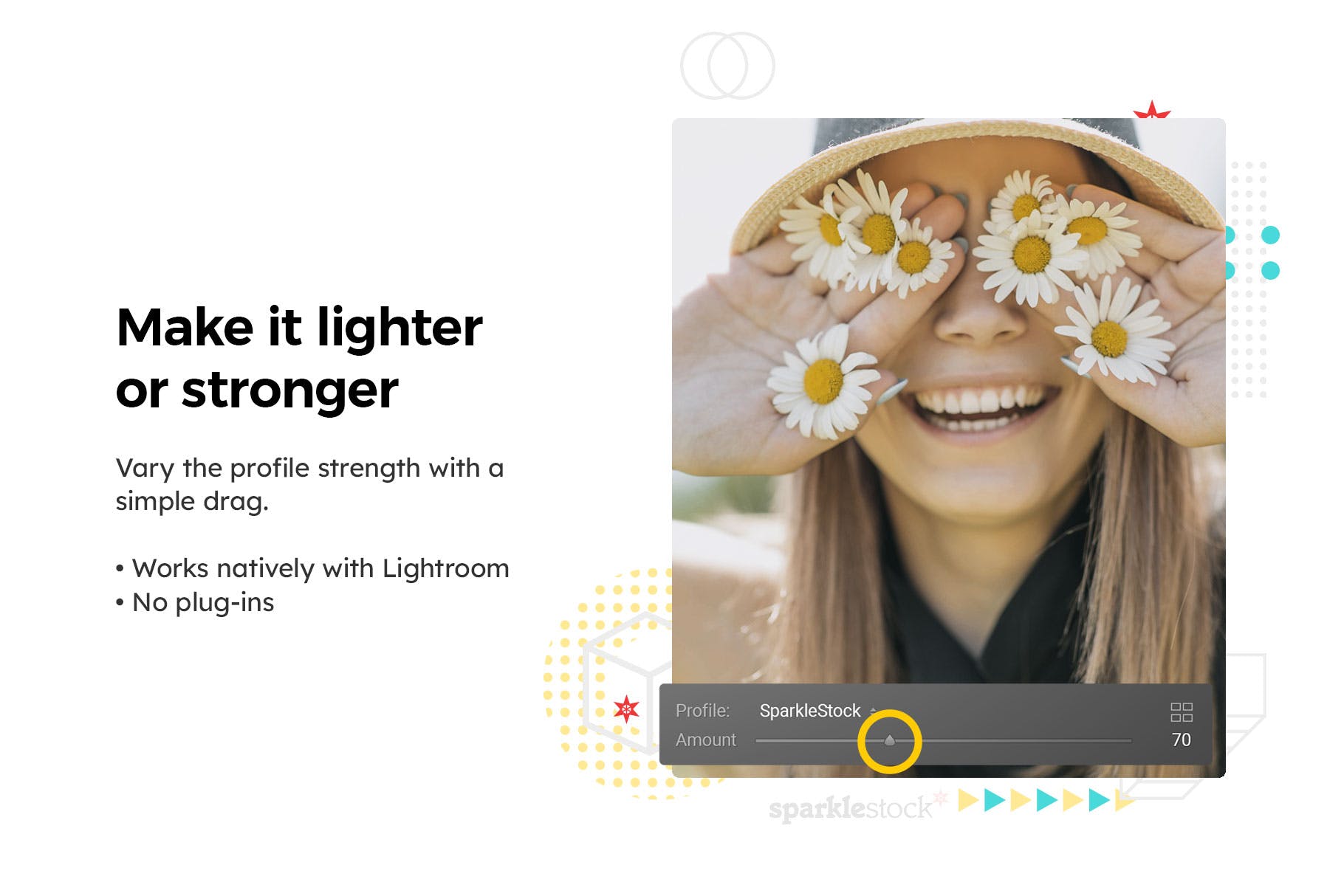 Luts调色预设-20个洋甘菊室内棚拍花朵调色滤镜 Chamomile Lightroom Presets & LUTs插图13