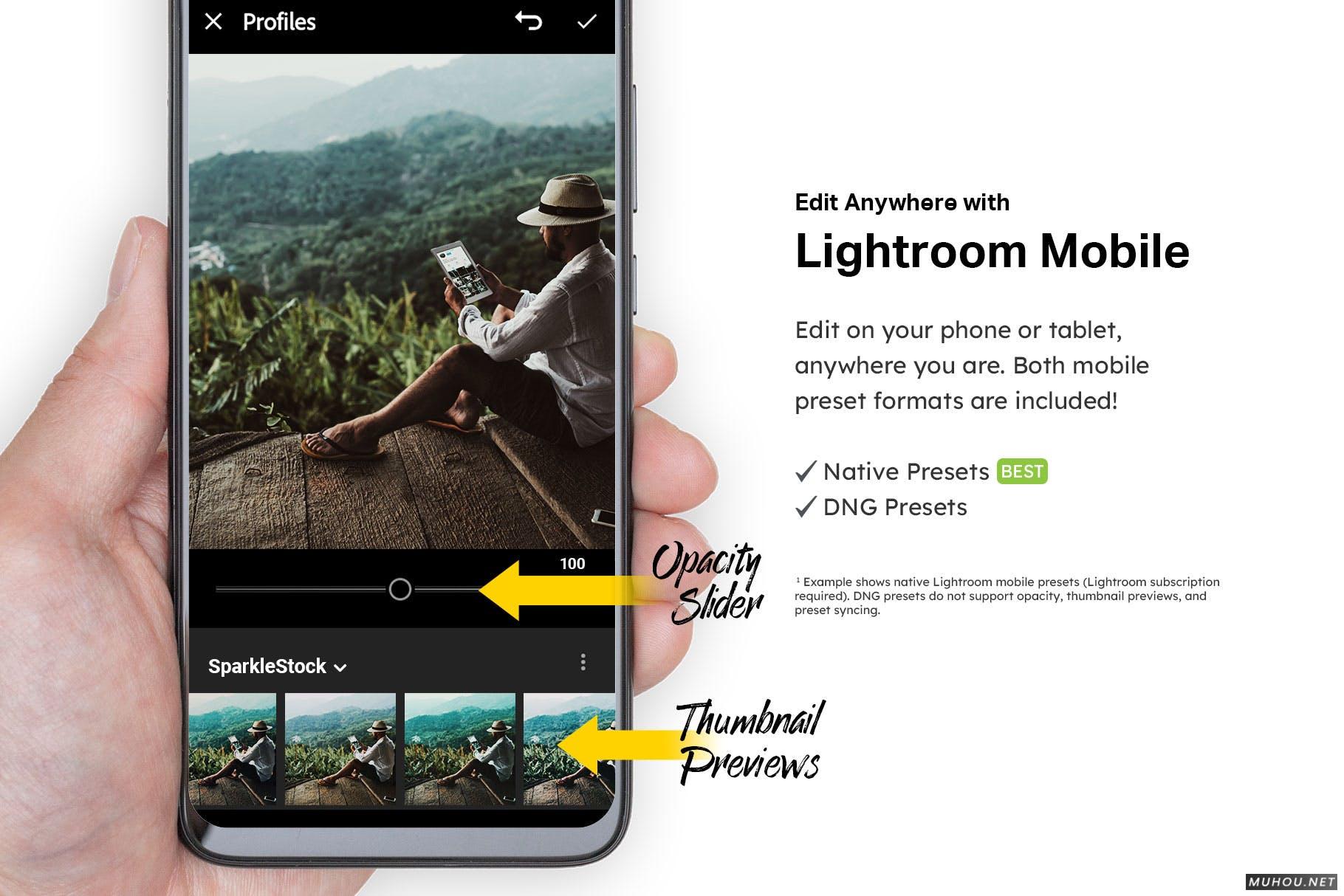 Luts调色预设-20组油管INS网红照调色效果滤镜20 Epic Thailand Lightroom Presets and LUTs插图13