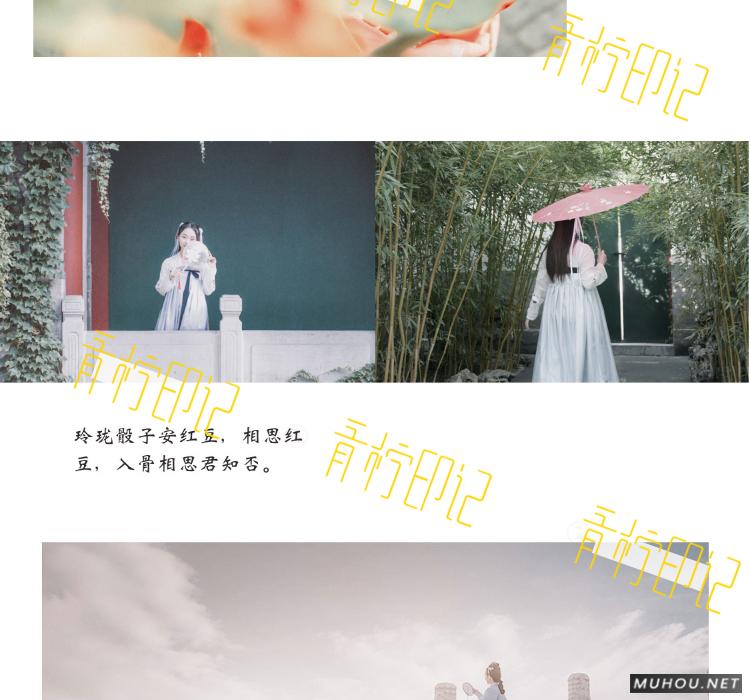 Luts调色预设：视频调色（LR-PR-AE-PS-FCPX-达芬奇）