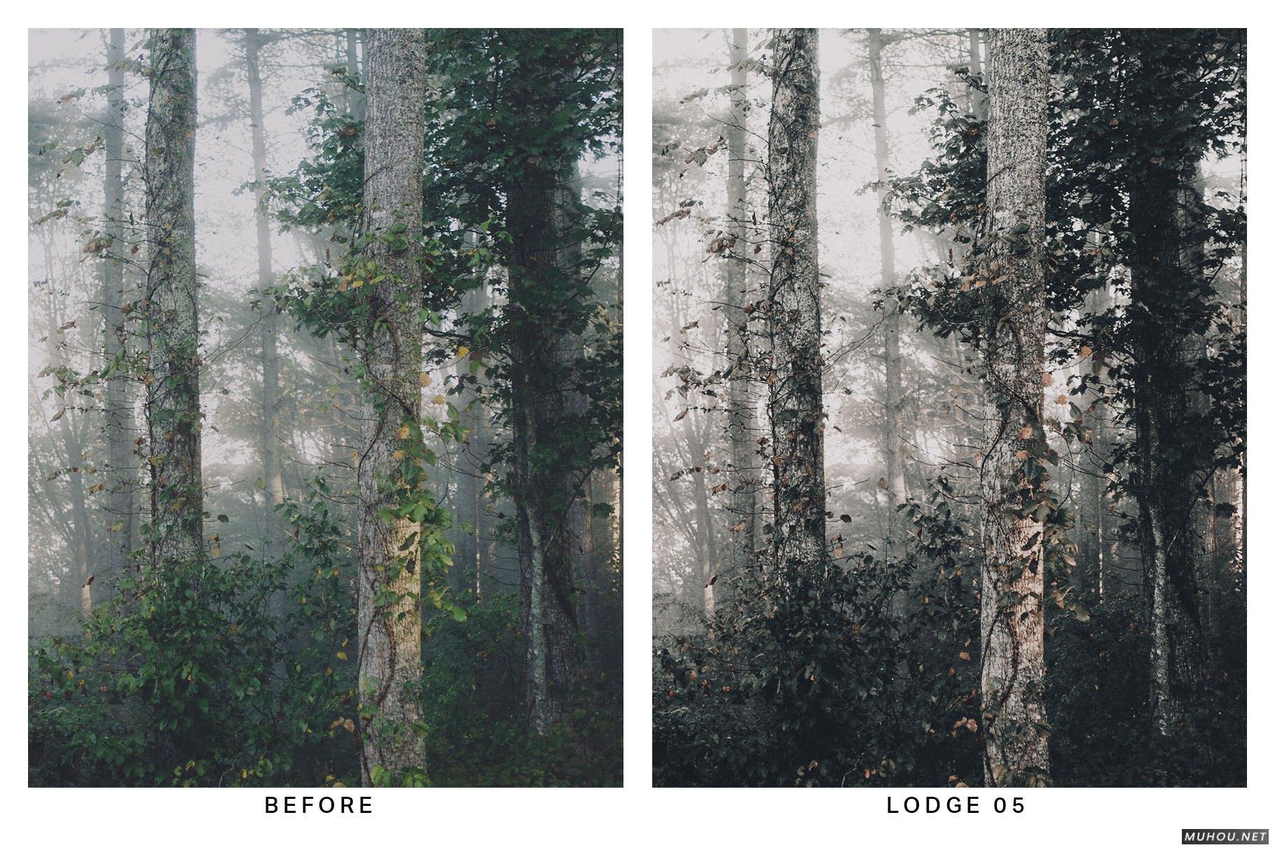 Luts调色预设-20套绿色森系自然森林照片视频调色滤镜20 Moody Forest Lightroom Presets and LUTs插图10