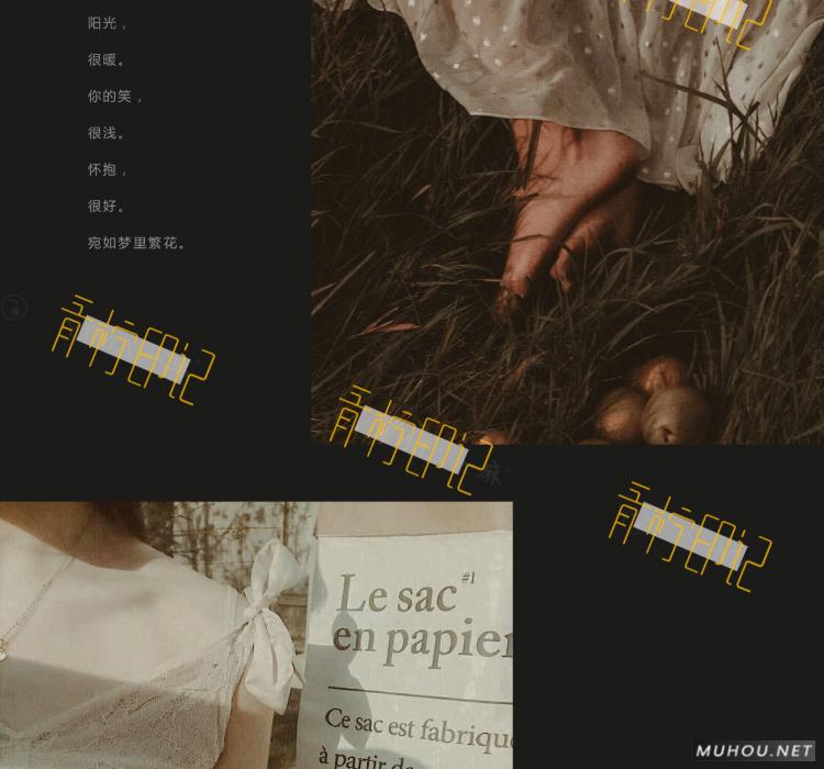 Luts调色预设：8组法式怀旧胶片效果人像视频调色滤镜下载（LR-PR-AE-PS-FCPX-达芬奇）