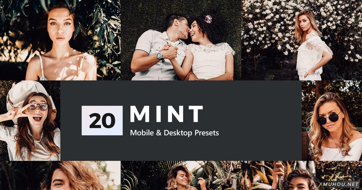 Luts调色预设-20套莫吉托色调花园清新调色滤镜20 Mint Lightroom Presets and LUTs插图