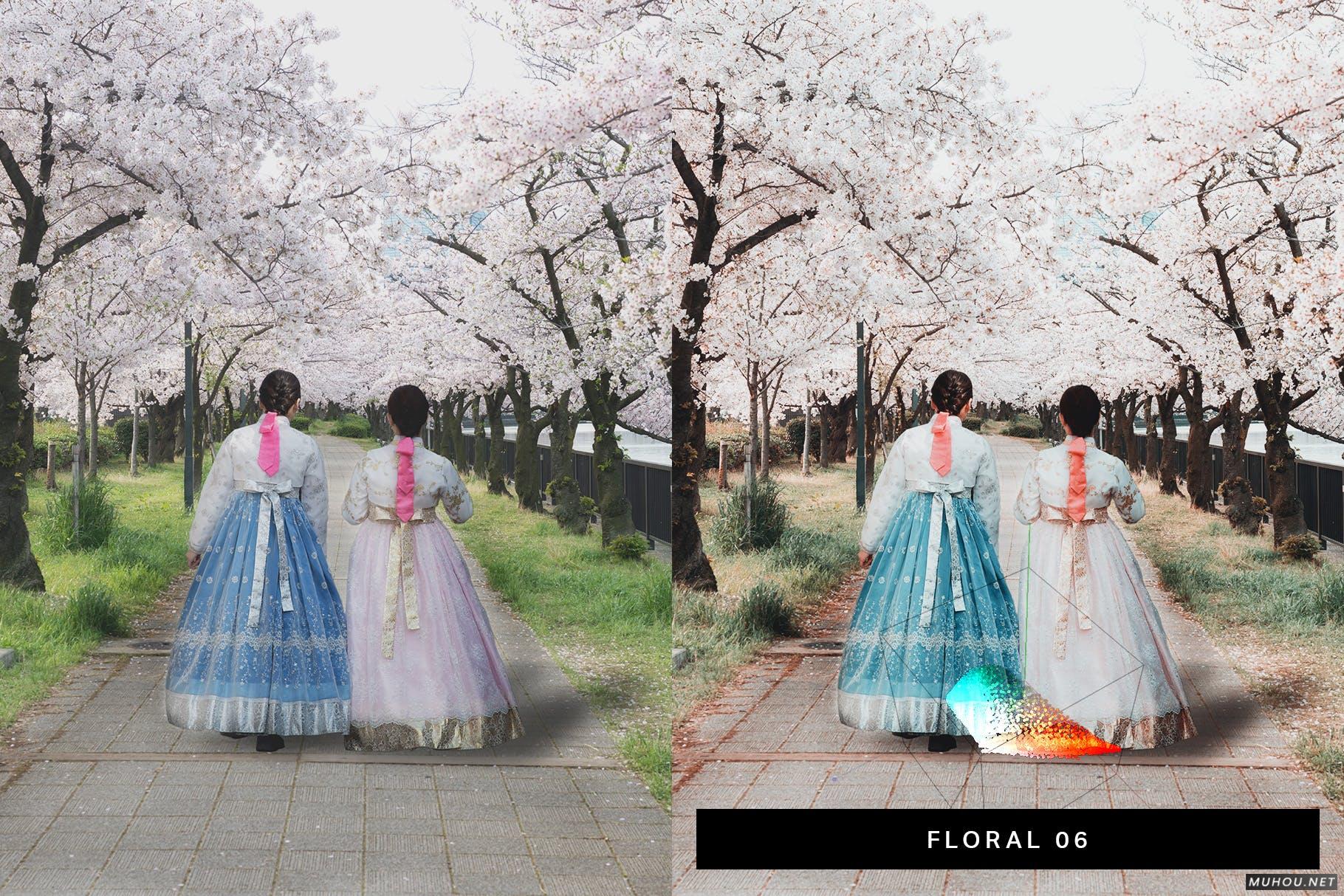 Luts调色预设-50组浪漫日本武汉樱花照片视频调色色调 50 Sakura Pink Lightroom Presets and LUTs插图10