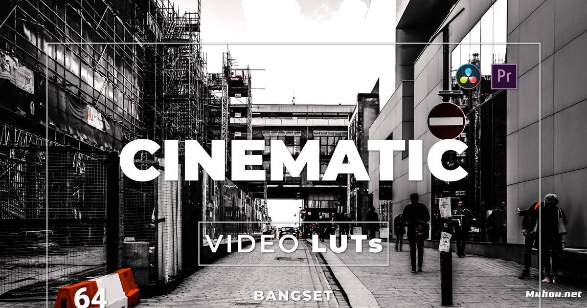 Luts视频预设-单色调调色滤镜下载Bangset Cinematic Pack 64 Video LUTs插图