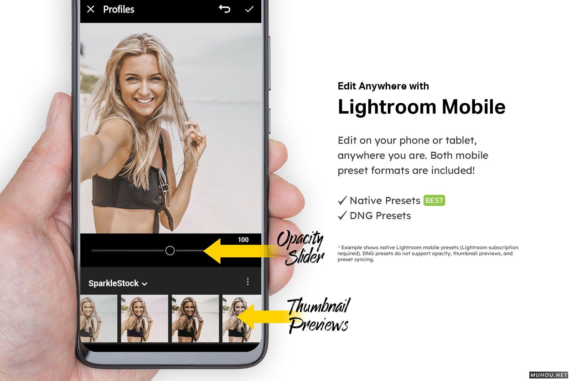 Luts调色预设-20组淡淡的褐色马达加斯加色调滤镜20 Vanilla Light Lightroom Presets and LUTs插图12