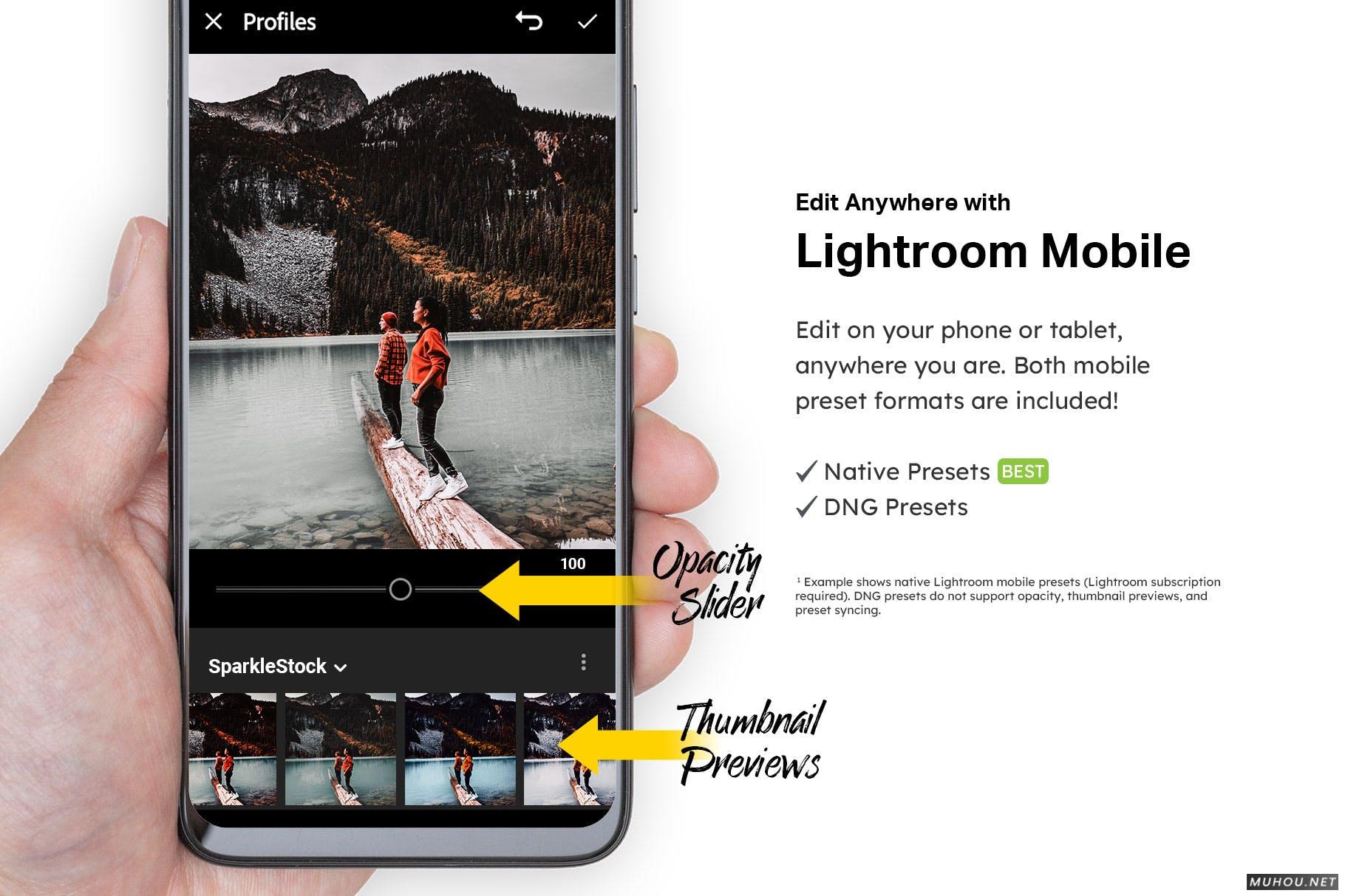 Luts调色预设-20组维多利亚红色枫叶色调滤镜 20 Canadian Lightroom Presets and LUTs插图12
