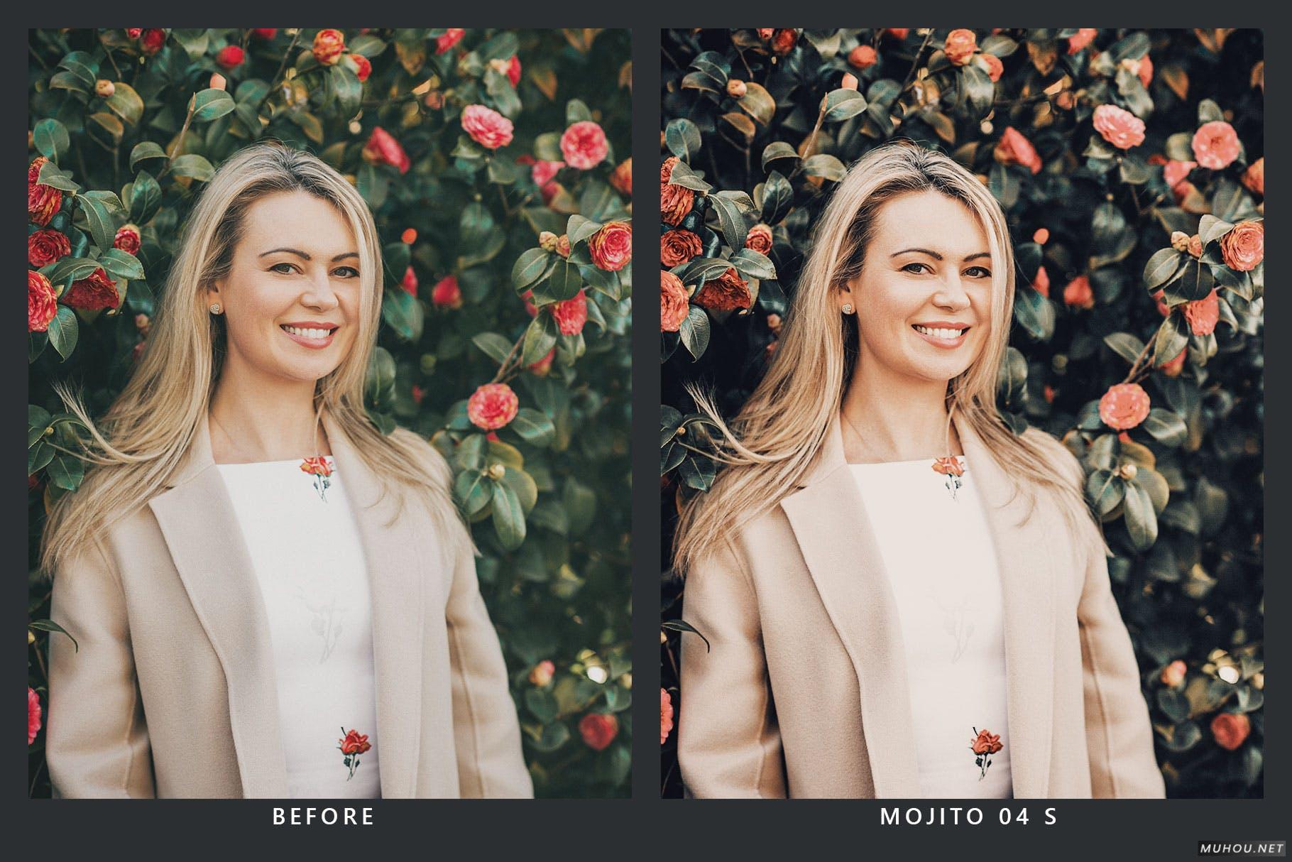 Luts调色预设-20套莫吉托色调花园清新调色滤镜20 Mint Lightroom Presets and LUTs插图11