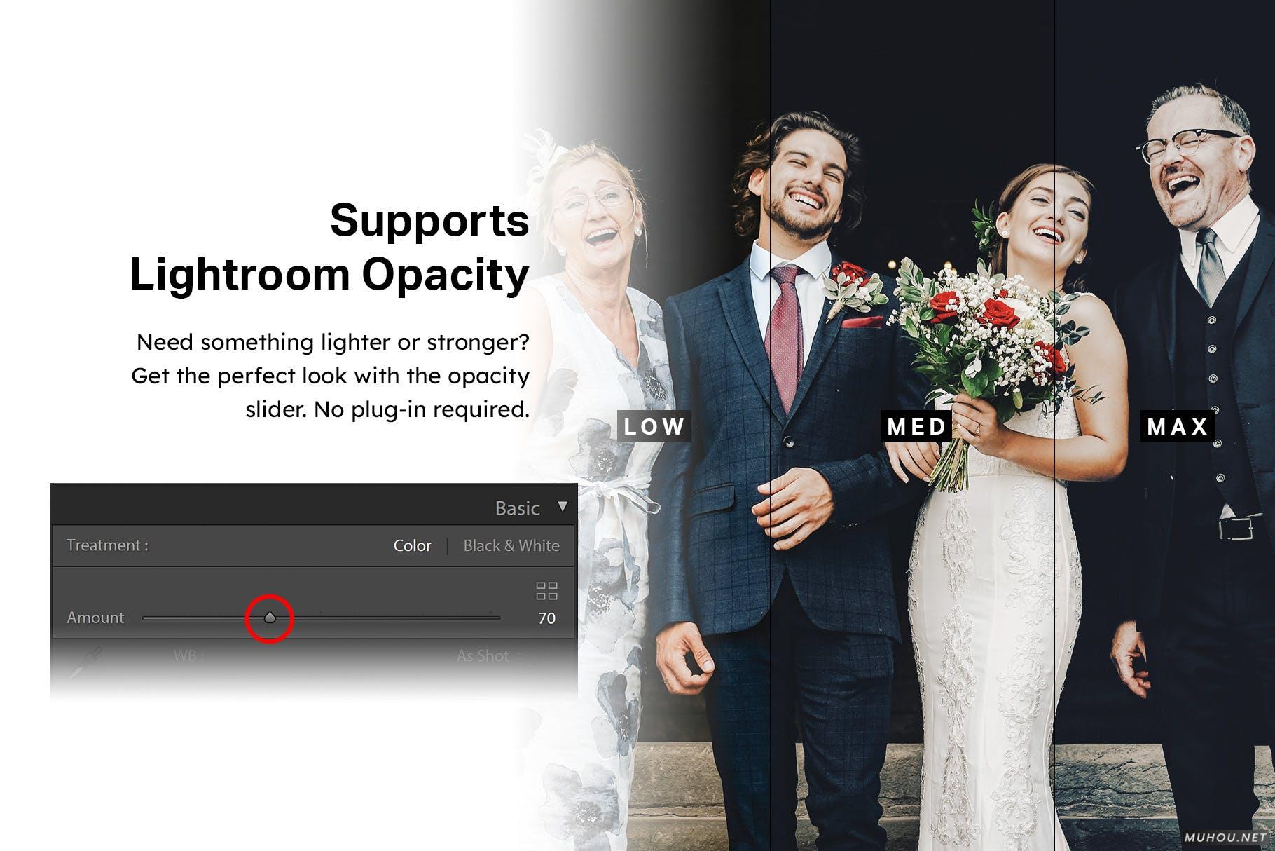 Luts调色预设-50组美丽婚礼肤色保护视频摄影调色滤镜50 Wedding Lightroom Mobile & Desktop Presets插图10