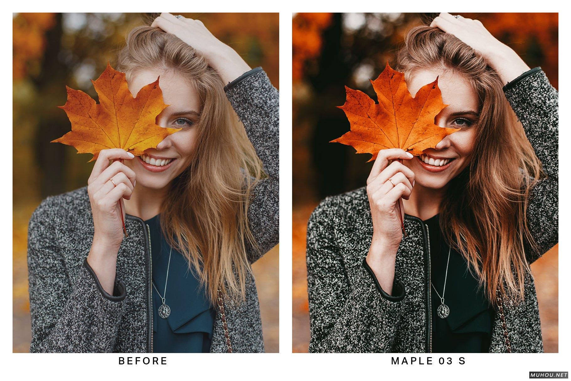 Luts调色预设-20组维多利亚红色枫叶色调滤镜 20 Canadian Lightroom Presets and LUTs插图10