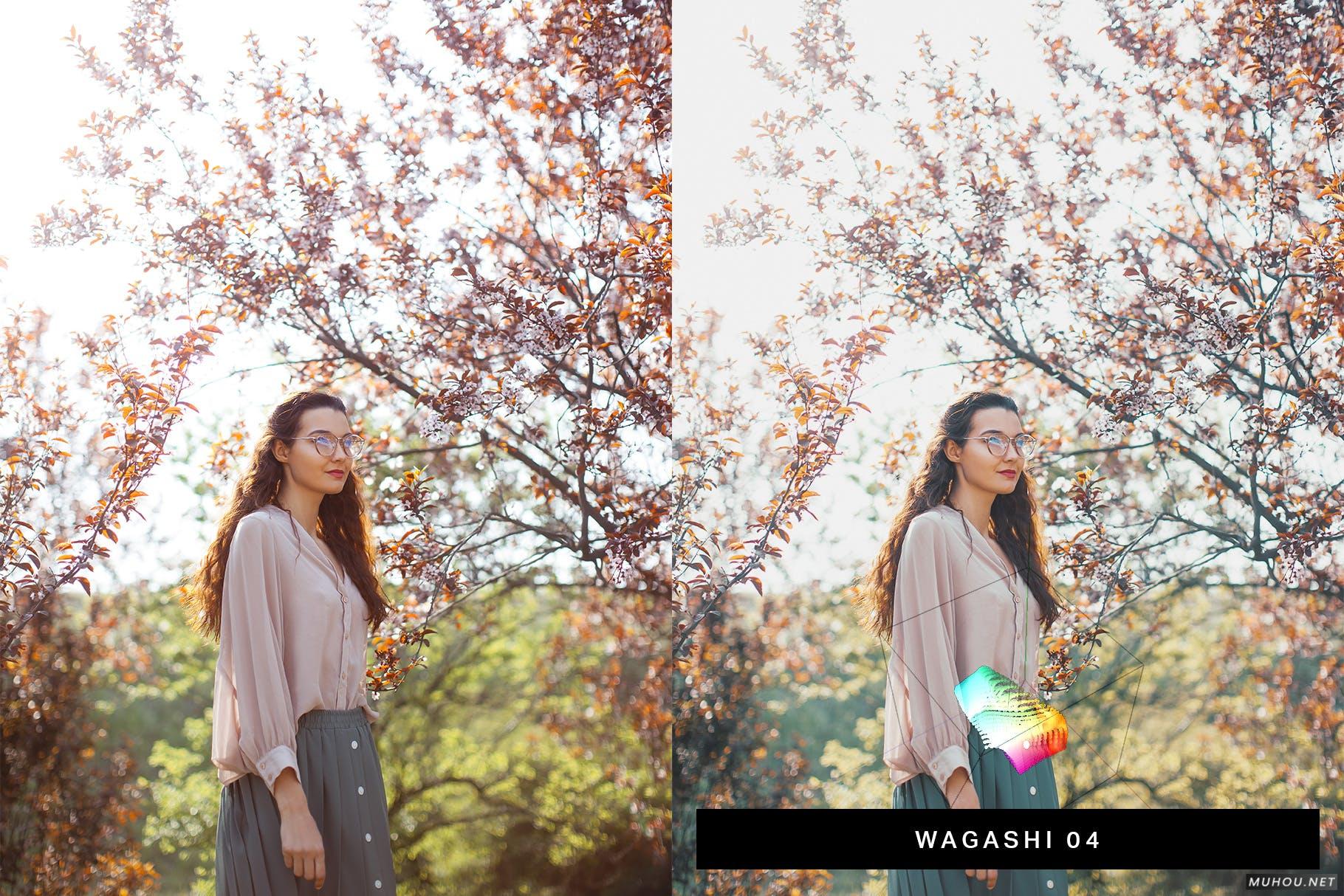 Luts调色预设-50套日本旅行赛博朋克+夜景调色滤镜50 Japan Lightroom Presets and LUTs插图12