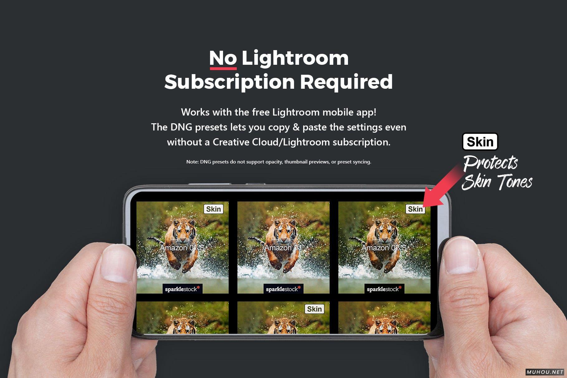Luts调色预设-20套自然界野生动物视频照片调色效果20 Wildlife Lightroom Presets and LUTs插图13