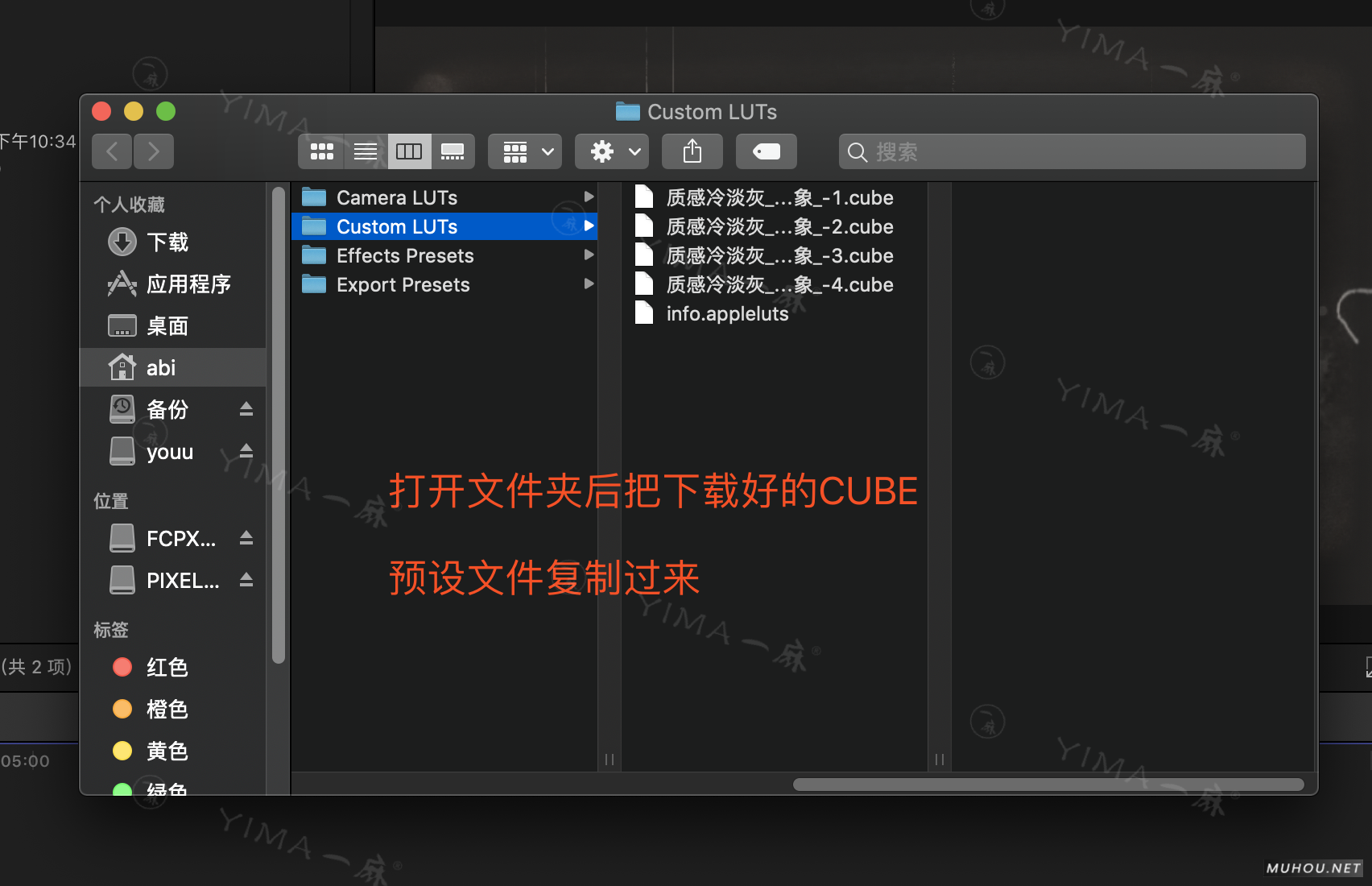 【FCPX预设安装】FCPX导入LUTS调色预设安装教程+插件插图3