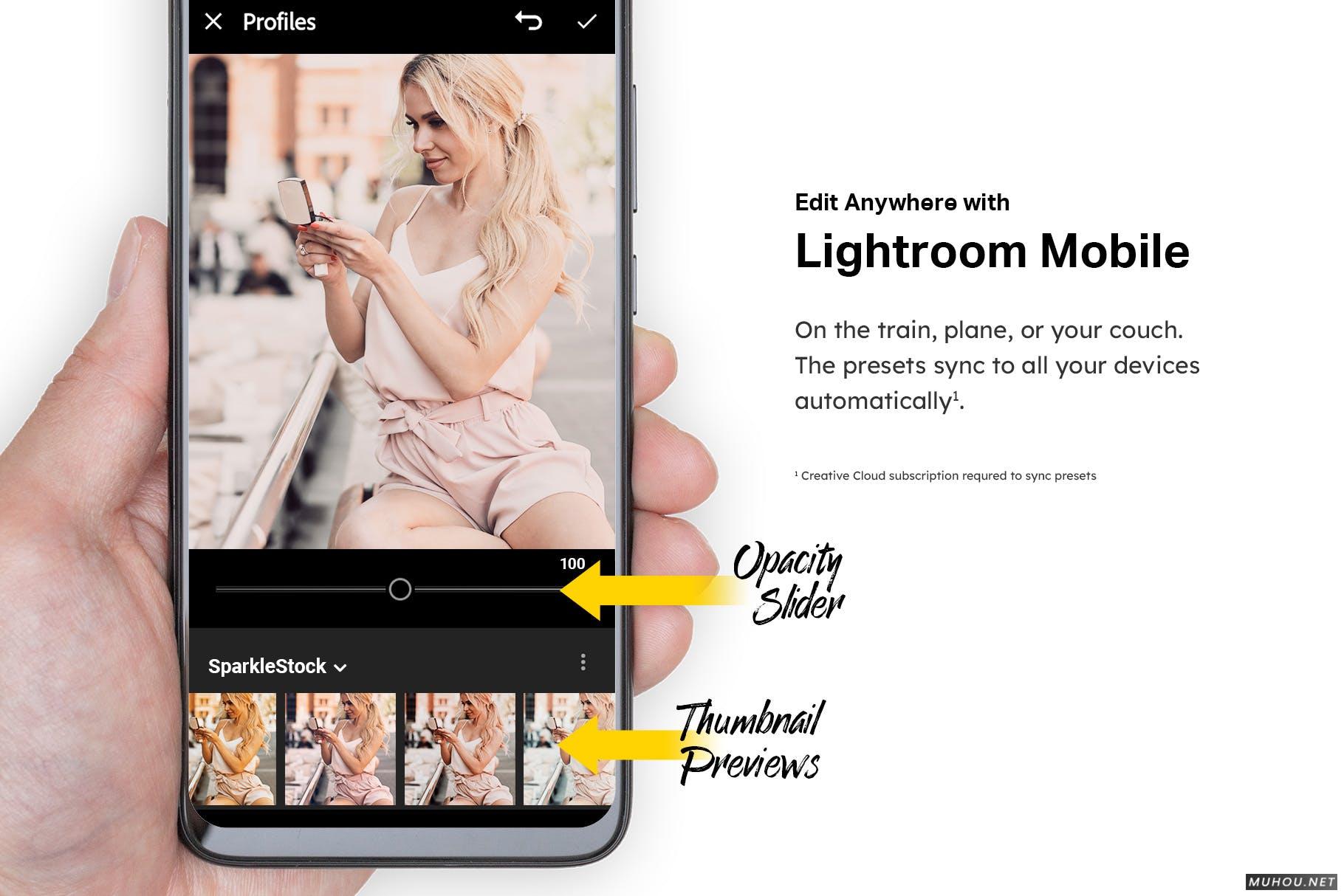 Luts调色预设-50套秋天少女风照片视频调色滤镜 50 Peachy Peach Lightroom Presets and LUTs插图13