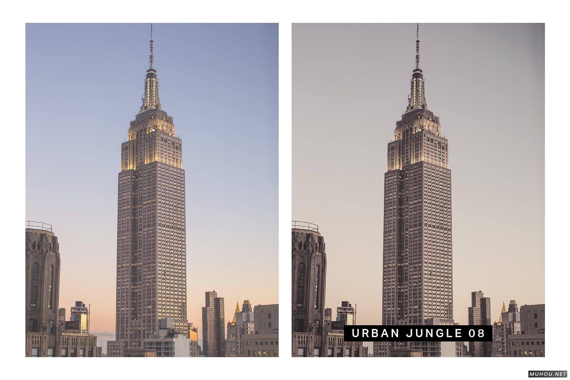 Luts调色预设-50种纽约时尚街拍调色滤镜下载 50 New York Lightroom Mobile and Desktop Presets插图15