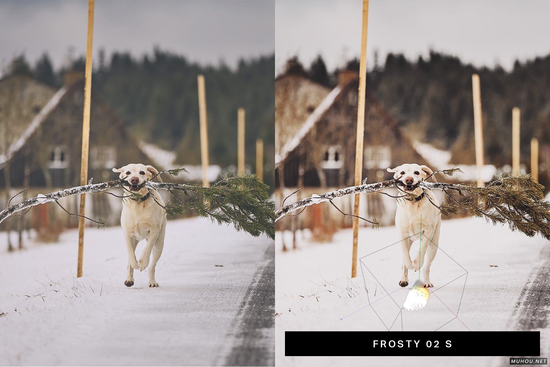Luts调色预设-50套神秘的冬季色调礼物圣诞节调色效果50 Christmas Lightroom Presets LUTs插图8